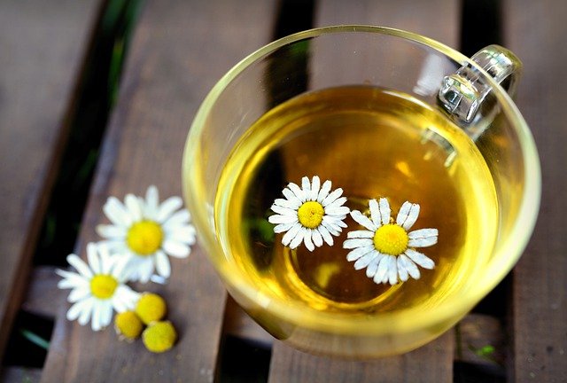 chamomile