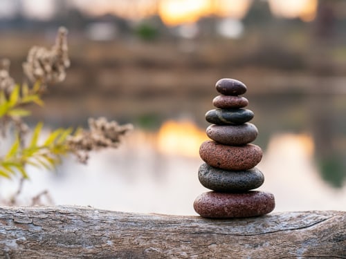 7 Shields Of Ayurveda