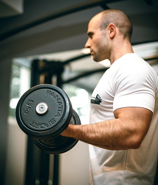 Biceps